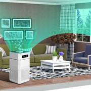HEPA Filter Air Purifier for Formaldehyde Removal in Large Rooms - clip memories
