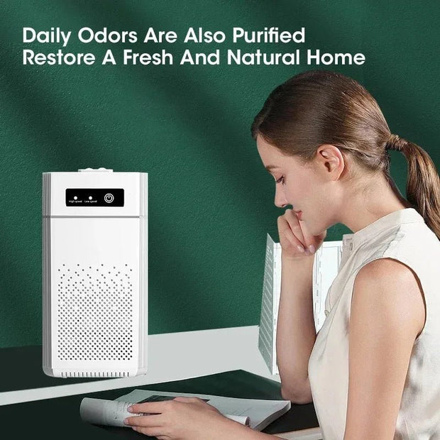 Portable Desktop Air Purifier with HEPA Filter - Negative Ion Purification Machine - clip memories